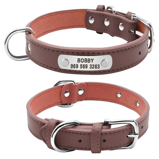 Personalized Leather Padded Dog Collar-Pawsitivetrends