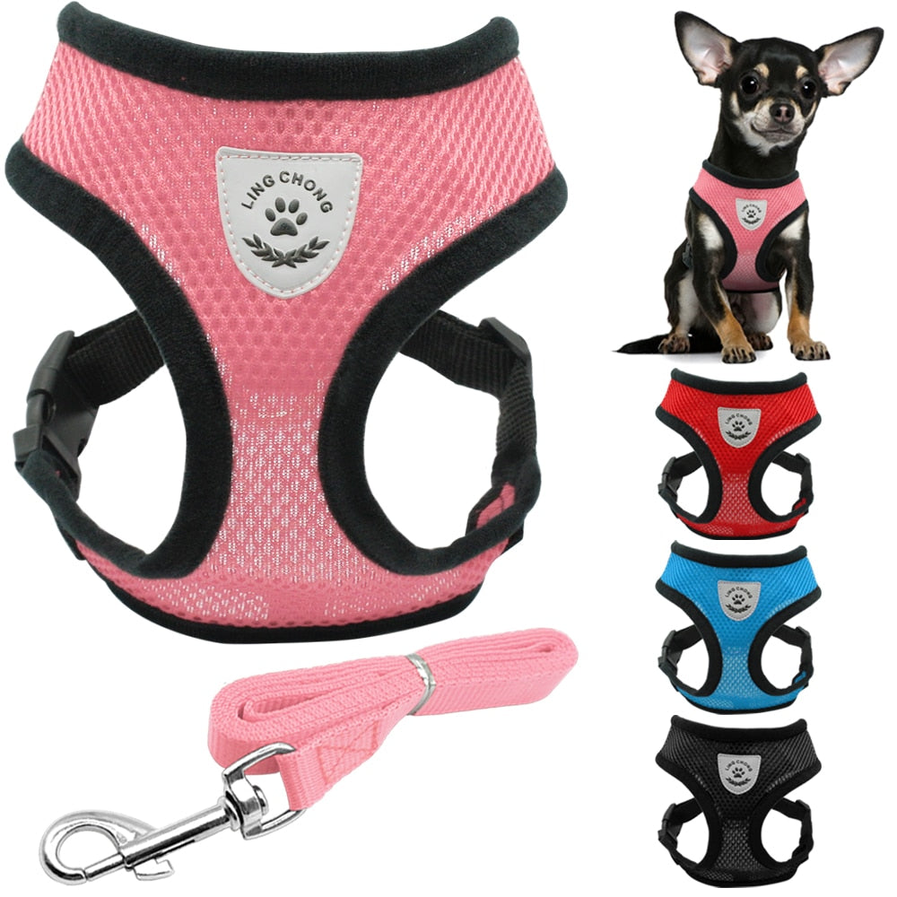 Soft Breathable Air Mesh Pet Harness and Leash Set-Pawsitivetrends