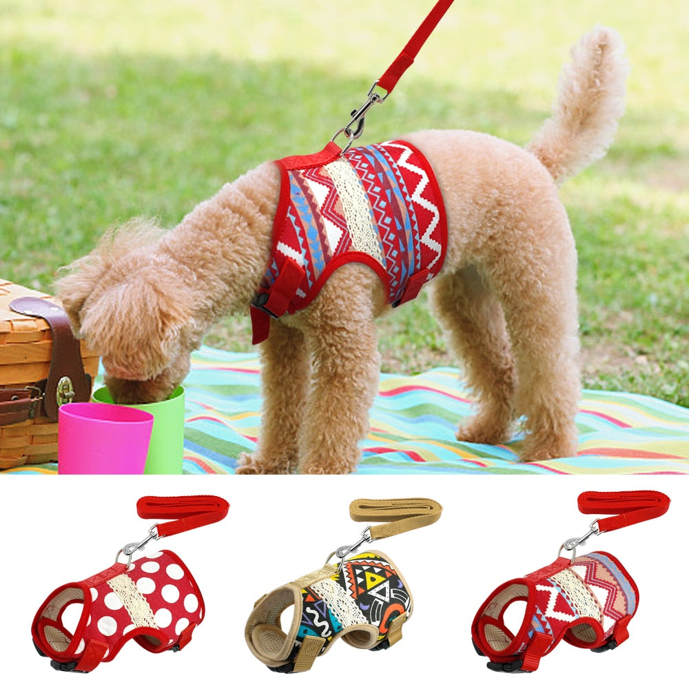 Printed Soft Mesh Padded Pet Harness and Leash Set-Pawsitivetrends