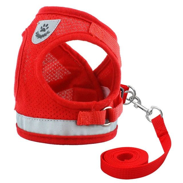 Reflective Mesh Pet Harness and Leash Set-Pawsitivetrends