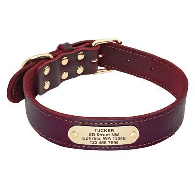 Personalized Nameplate Large Dog Collar-Pawsitivetrends